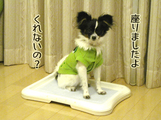 09112804.jpg