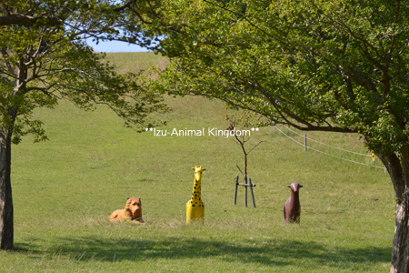 11110603.jpg