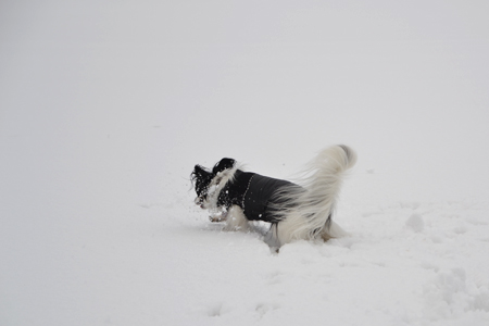 12010505.jpg