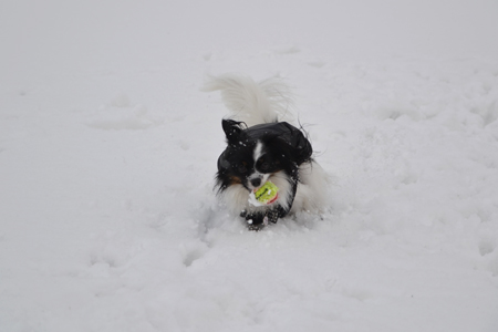 12010507.jpg