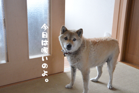 12010523.jpg