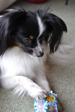 12010524.jpg