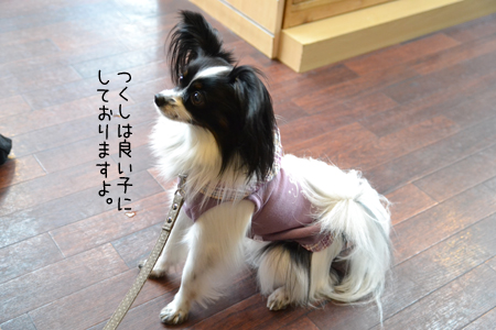 12030316.jpg