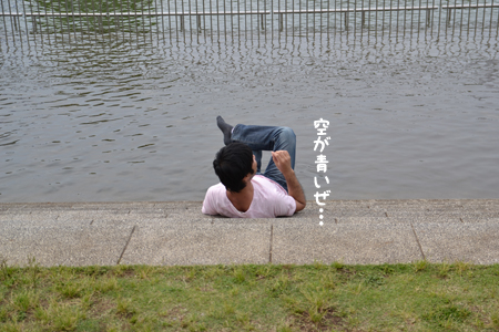 12061225.jpg