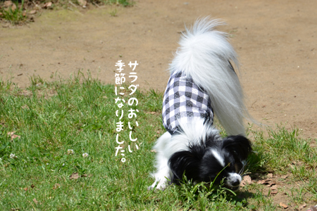 12061802.jpg