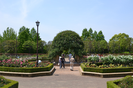 12061825.jpg