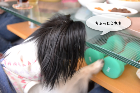 13112013.jpg