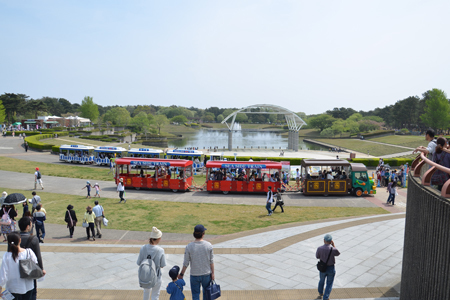 15061702.jpg