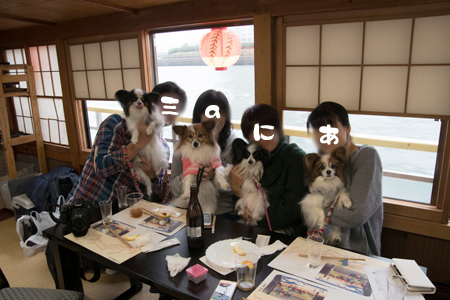 16112236.jpg