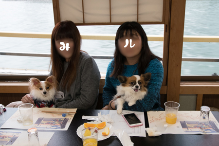 16112238.jpg