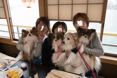 16112239.jpg