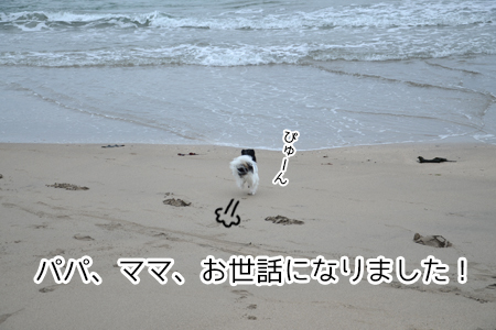 18052803.jpg