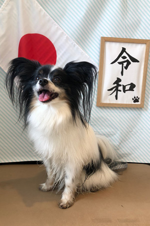 19050101.jpg