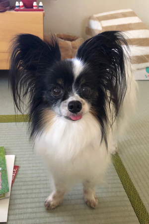 19061601.jpg
