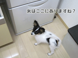 09090501.jpg