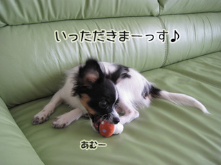 09092306.jpg
