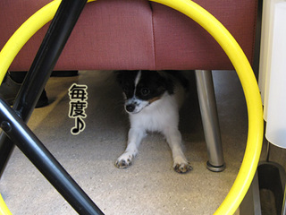 09102505.jpg