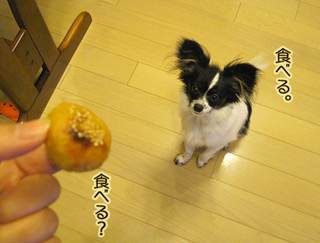 09120202.jpg