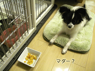 09120203.jpg