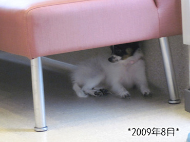 10070713.jpg