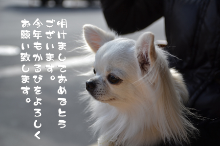 12011401.jpg