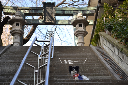 12011402.jpg