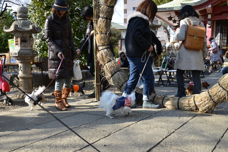 12011405.jpg