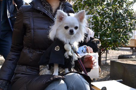 12011409.jpg