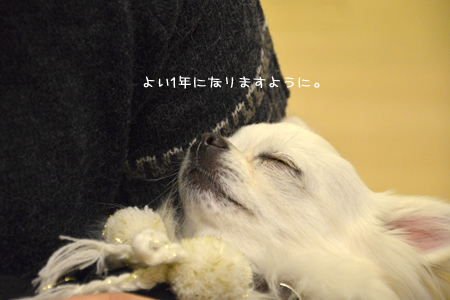 12011438.jpg