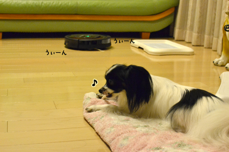 12093006.jpg