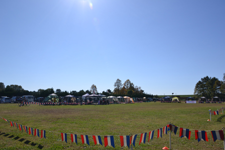 12110601.jpg