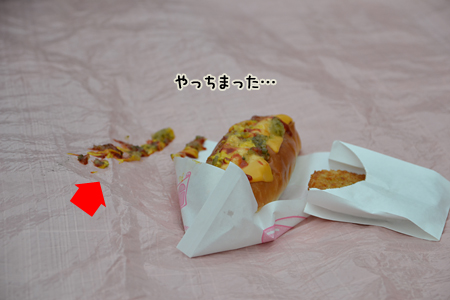 12111125.jpg