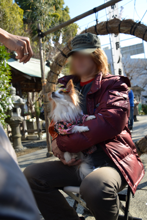 13011911.jpg