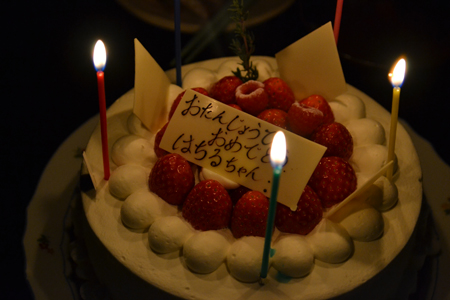 13011927.jpg