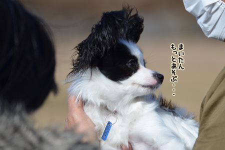 13022133.jpg