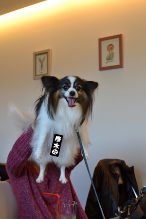 13032013.jpg
