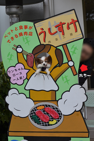 13032516.jpg