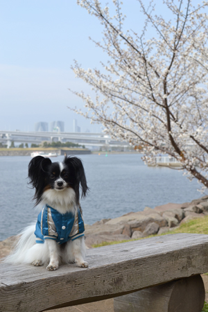 13032532.jpg