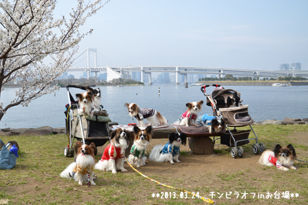 13032533.jpg