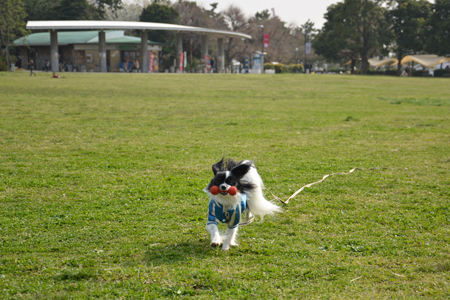 13032539.jpg