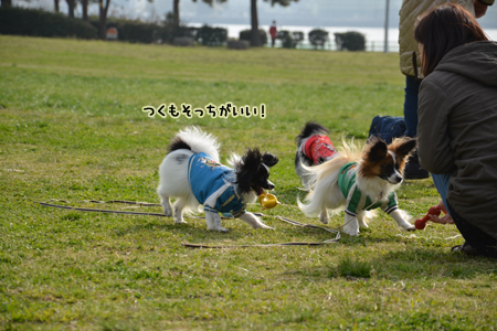 13032542.jpg