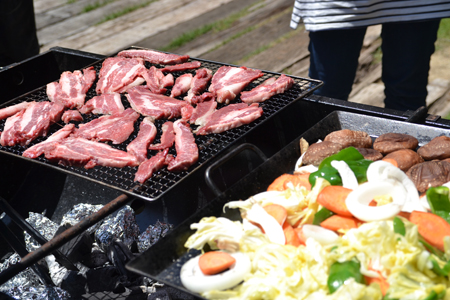 13051431.jpg
