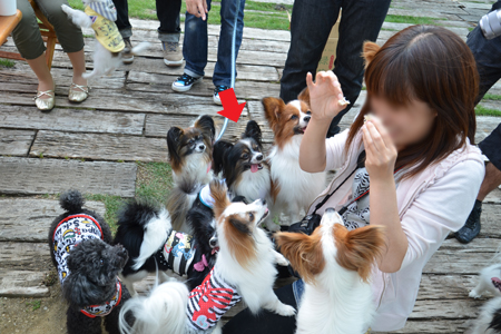 13051433.jpg