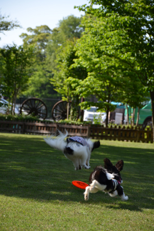 13051440.jpg
