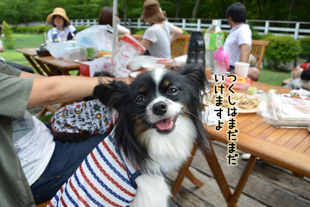13051448.jpg