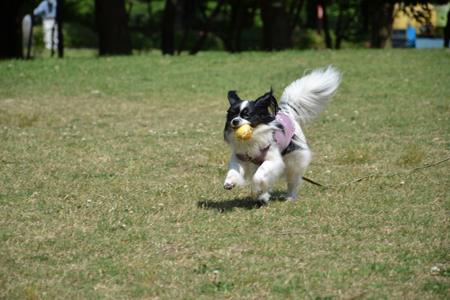 13060227.jpg