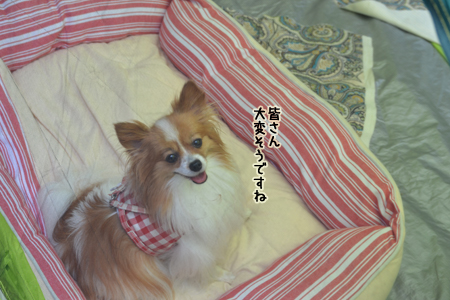 13081121.jpg