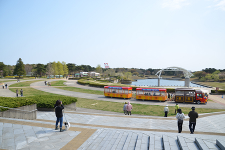 14042101.jpg