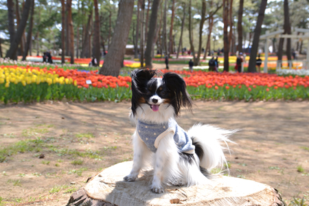14042106.jpg