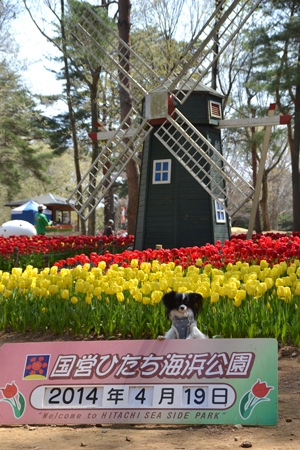 14042114.jpg